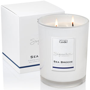 
            
                Load image into Gallery viewer, Sea Breeze Large Candle
            
        