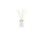 Berries Reed Diffuser 400ml